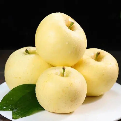 烟台黄金奶油富士苹果新鲜水果5斤牛奶白色苹果