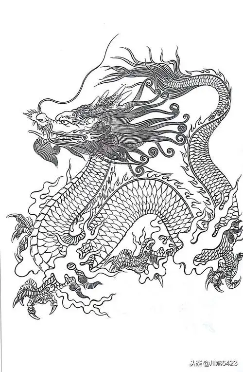 中国龙 白描画稿