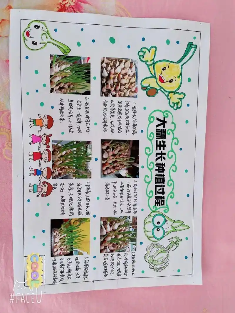 植物生长过程手抄报 植物生长手抄报