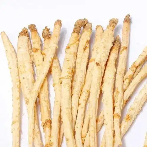 南沙参北沙参和沙参的中药大数据区别