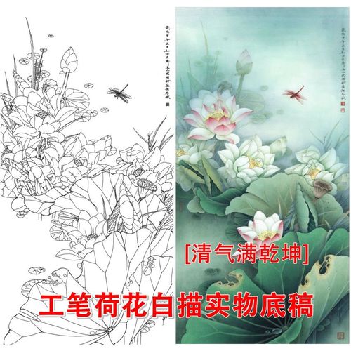 tf03工笔画白描底稿线描稿临摹过稿工笔国画蜻蜓荷花实物打印稿