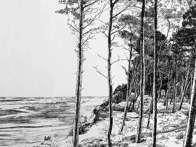 钢笔画作品欣赏|插画|艺术插画|马国斌钢笔画 - 原创作品 - 站酷