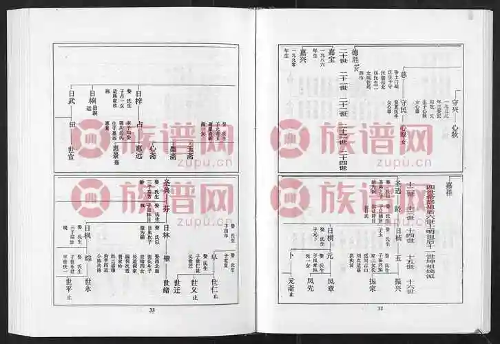 3庄氏族谱31404–2010第3本