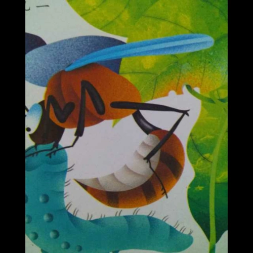 昆虫记之九《娇小的赤条蜂》上