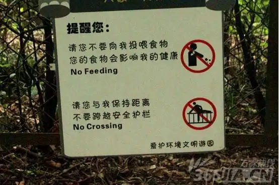 游客跳车冲进野生动物园老虎群自己作死被救为何会被刑事拘留