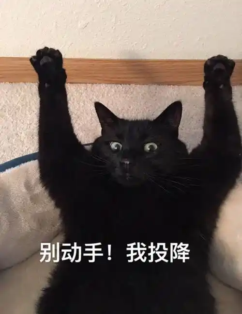 近期斗图表情包精选2018114