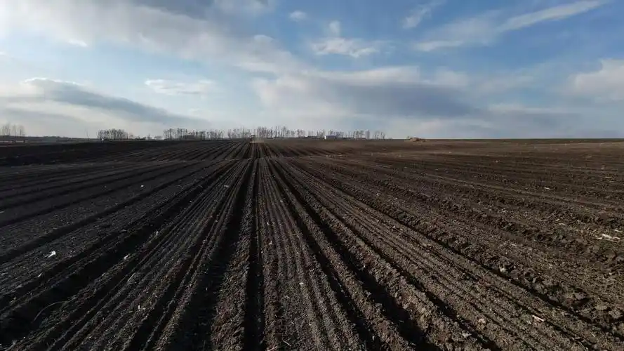 黑龙江新闻网>龙江新闻>每年5月25日所在周为黑龙江省黑土地保护周