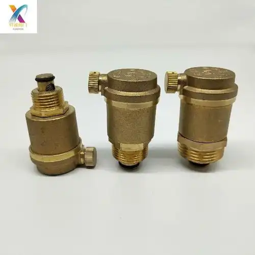 avax自动排气阀 - 浙江轩诚阀门有限公司