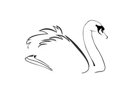 线条天鹅图片-线条天鹅素材-线条天鹅插画-摄图新视界