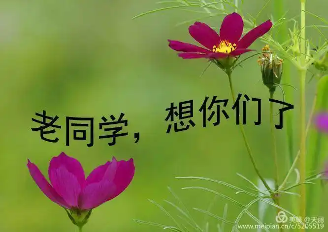 难忘同学情,送给老同学!