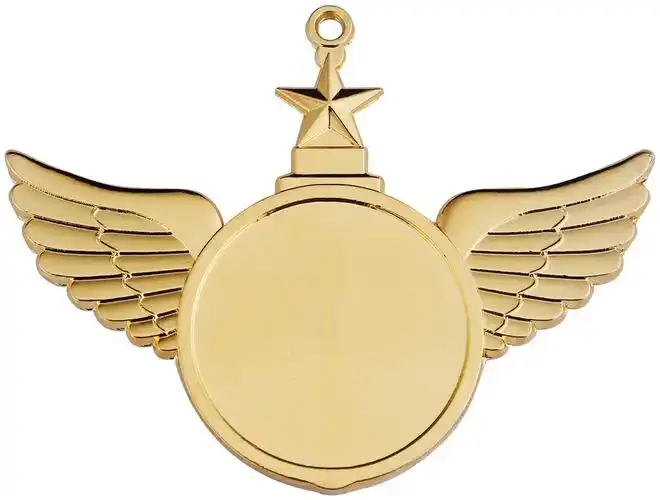 cn305290780s_奖牌(3)有效