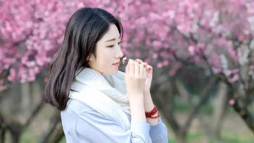 电脑美女壁纸软件哪个好用