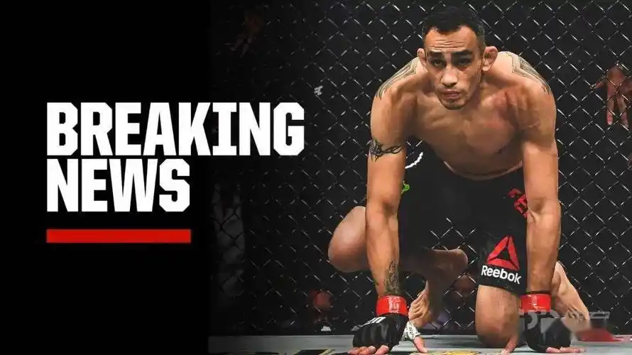 夜魔确定ufc256回归对手是个7连胜的终结狂魔