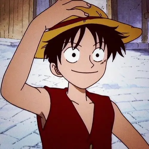 one piece 海贼王路飞头像转载请注明出处