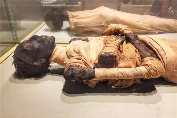 木乃伊会不会复活木乃伊是怎么制作而成的