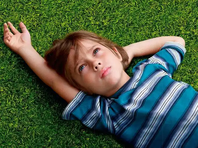 少年时代,电影,boyhood,剧照,海报,2015年奥斯卡少年时代壁纸图片