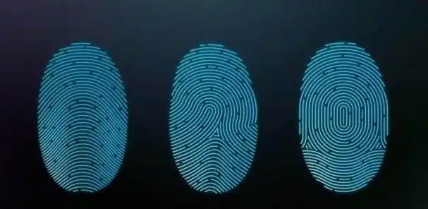 指纹:从"按手印"到"一斗穷,二斗富"指纹是指人类手指末梢皮肤上形成的