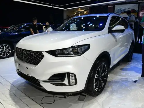 长城汽车 wey vv6 2021款 2.0t 两驱儿童呵护版