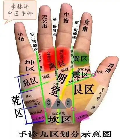 大部分病在手上都会有表现,真可谓五脏六腑均历历在"手"也