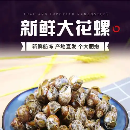 海捕鲜活香螺东风螺速冻海鲜水产 特大号精品花螺 8斤装【图片 价格