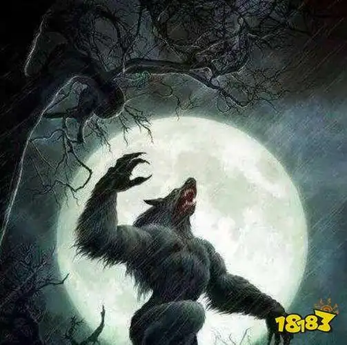 天天狼人杀游戏规则黑夜再次降临的游戏