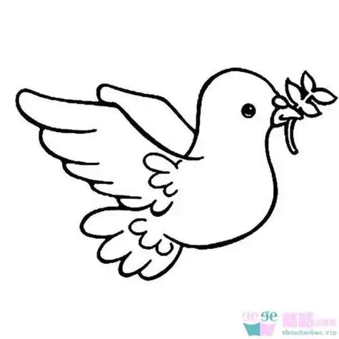 怎么画和平鸽简笔画最新最全的儿童画和平鸽简笔画图片鸽子作为和平