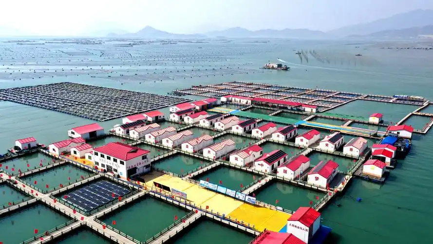 天天学习|"大食物"托起"小幸福"