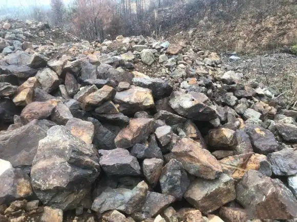 进口铁矿石清关手续及报关报检程序