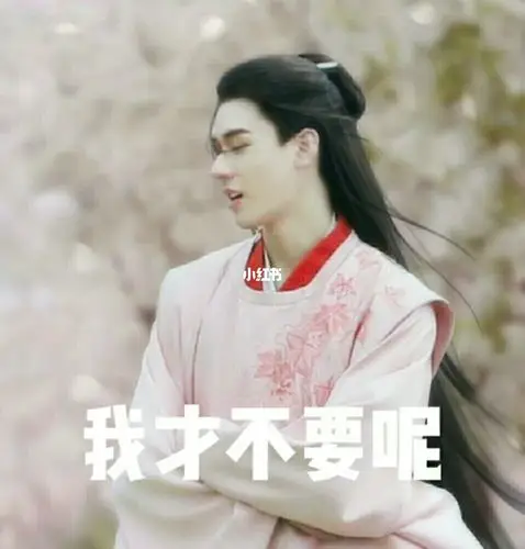 山河令表情包,俊俊子是吃可爱多长大的吗_山河令_可爱多_表情包_软萌