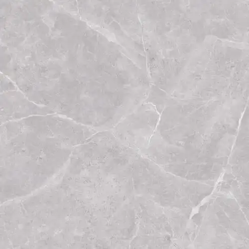 89010卡米亚灰1      商品价格: 面议 类型:其他瓷砖 本店