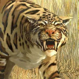 探秘霸气外露的史前猫科动物 异剑齿虎