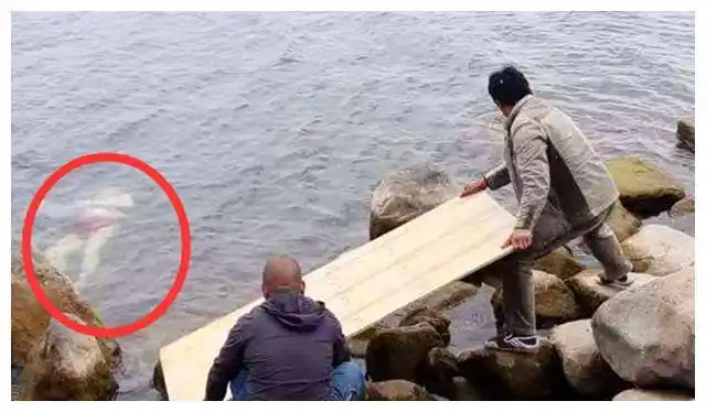 捞尸人:不信鬼神,敬畏往生者,就怕碰上花季少女|尸体|溺水_网易订阅