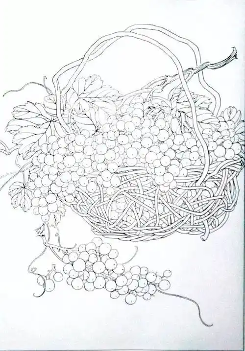 国画教程视频附葡萄白描画稿