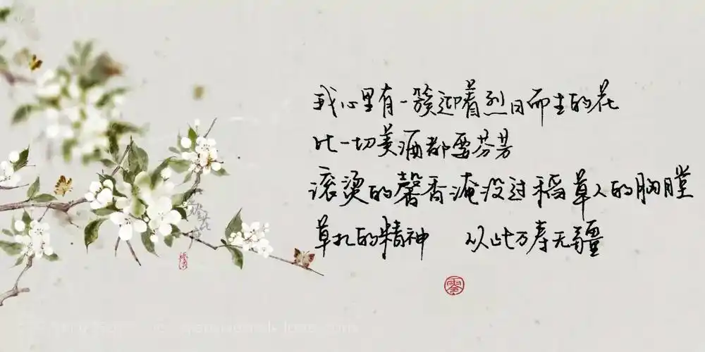 给默读单独来一张