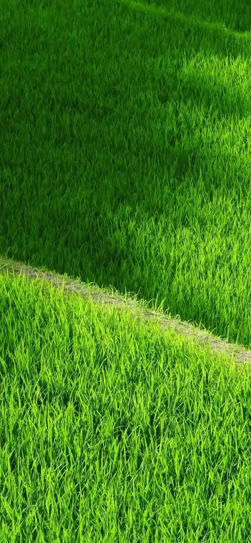 1000_2163竖版 竖屏