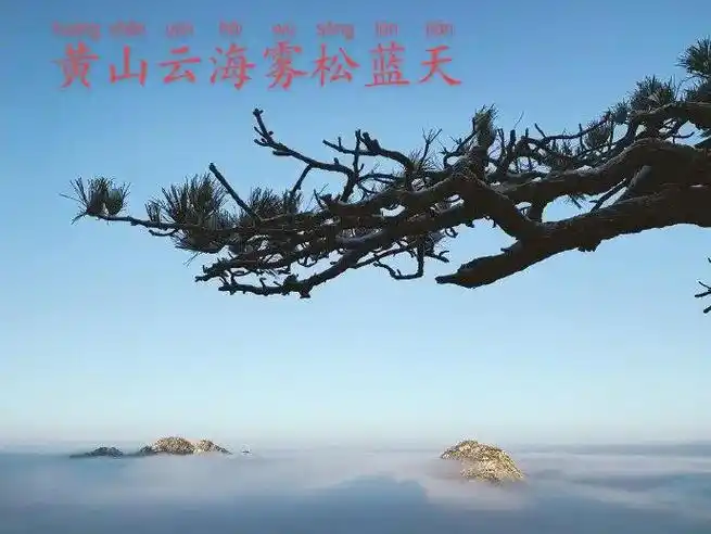 《黄山云海奇峰苍松雪花》 天大地大不如心懐宽大  . 天髙地 - 抖音