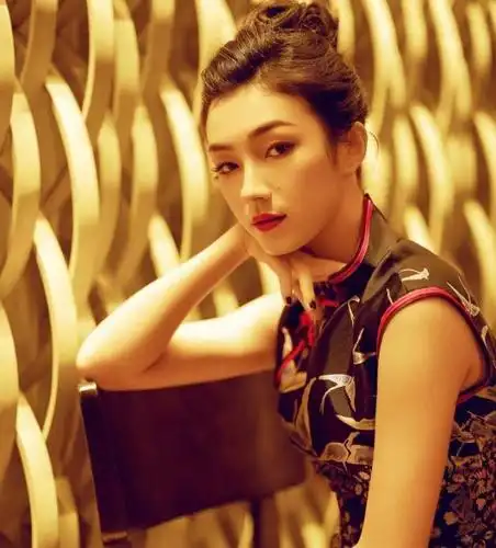 师承杨紫琼,刘承羽一袭黑色仙鹤旗袍,五官精致,异域风情满满!