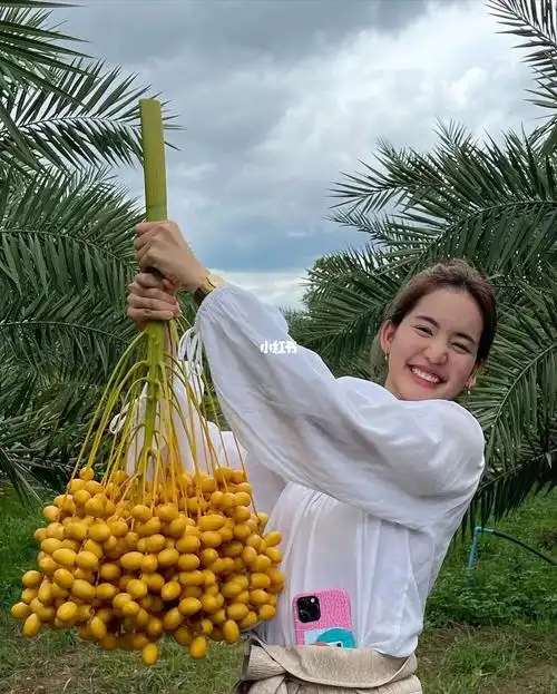 泰星bow更新啦81706