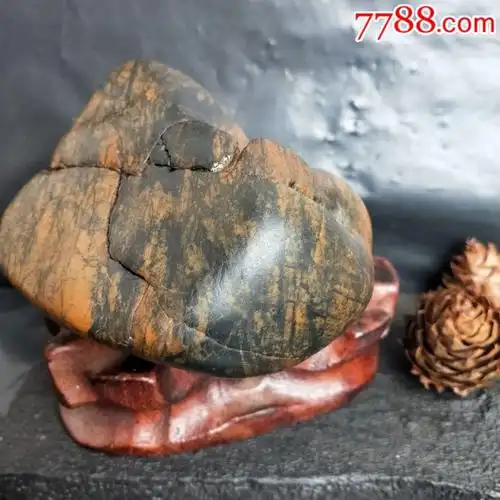 天然水冲原石观赏石奇石《木化石硅化木》小摆件