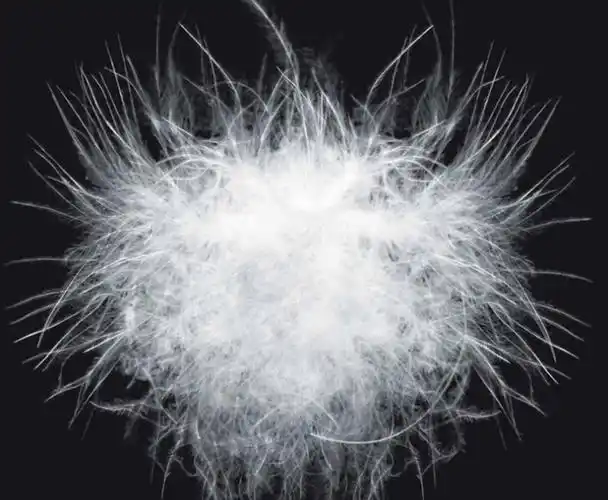 淮安市淮安区荣旭羽绒制品厂