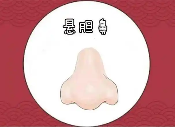 难怪"悬胆鼻"被称为鼻中之王,看起来满满富贵相,老了气质十足