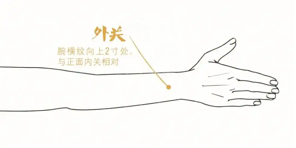 外关是手少阳三焦经的络穴,八脉交会穴之一,通阳维脉.