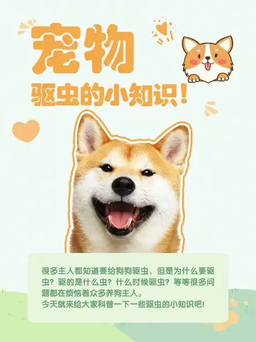 宠物驱虫小知识