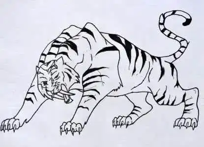画剑齿虎的简笔画