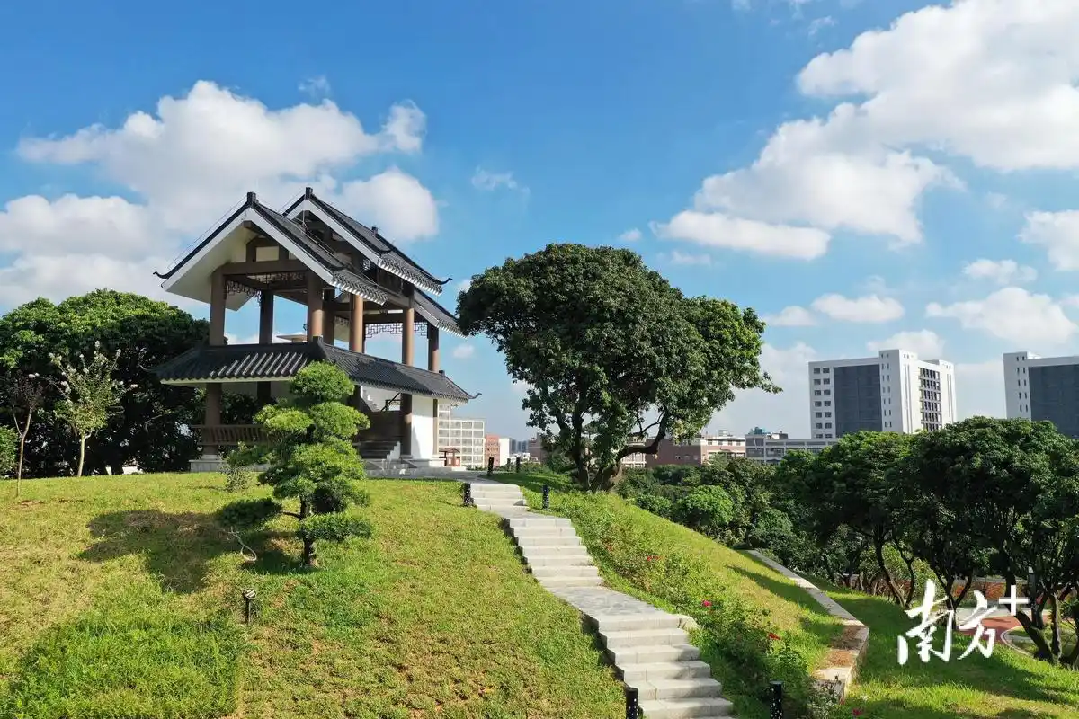 多图|精致起来的荔枝公园,让东坑居民转角遇见美