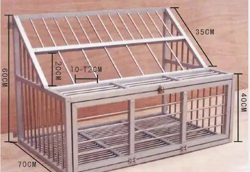 鸽子笼怎么设计啊?