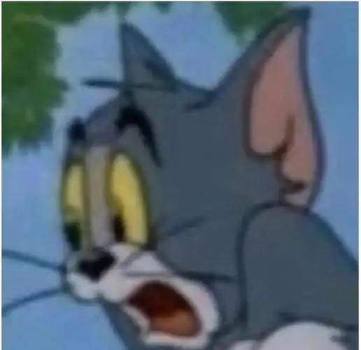 🐱🐭 猫和老鼠:汤姆猫无字表情包大集合