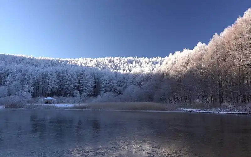 4k〕 高原雪景2_哔哩哔哩_bilibili