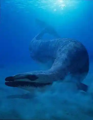 p>龙王鲸(学名:basilosaurus,意为帝王 a target="_blank" href="