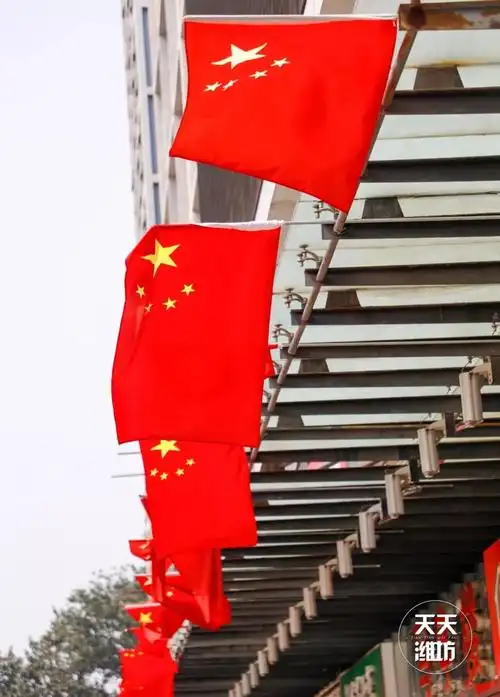 佳琦▼把潍坊映衬得分外红火鲜亮醒目,鲜红的国旗随风摇曳,在绿树和